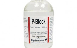 P Block artists tier list